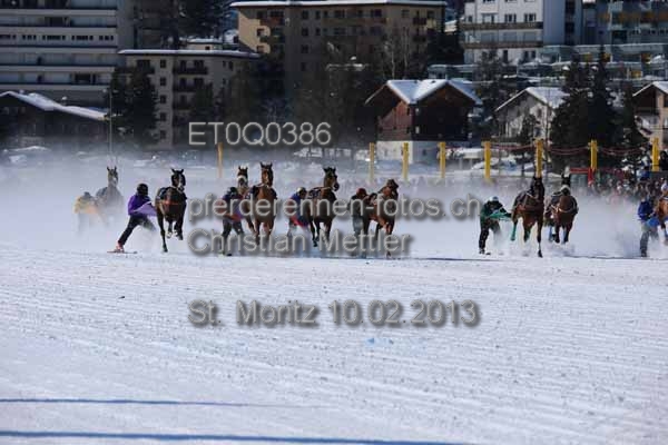 ET0Q0386 prot